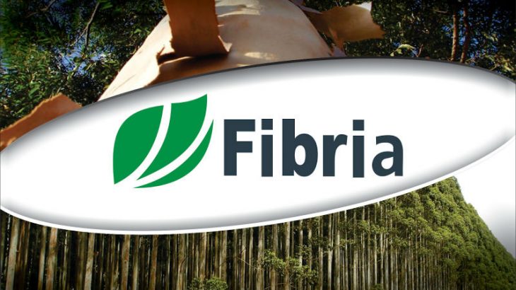 como trabalhar na fibria